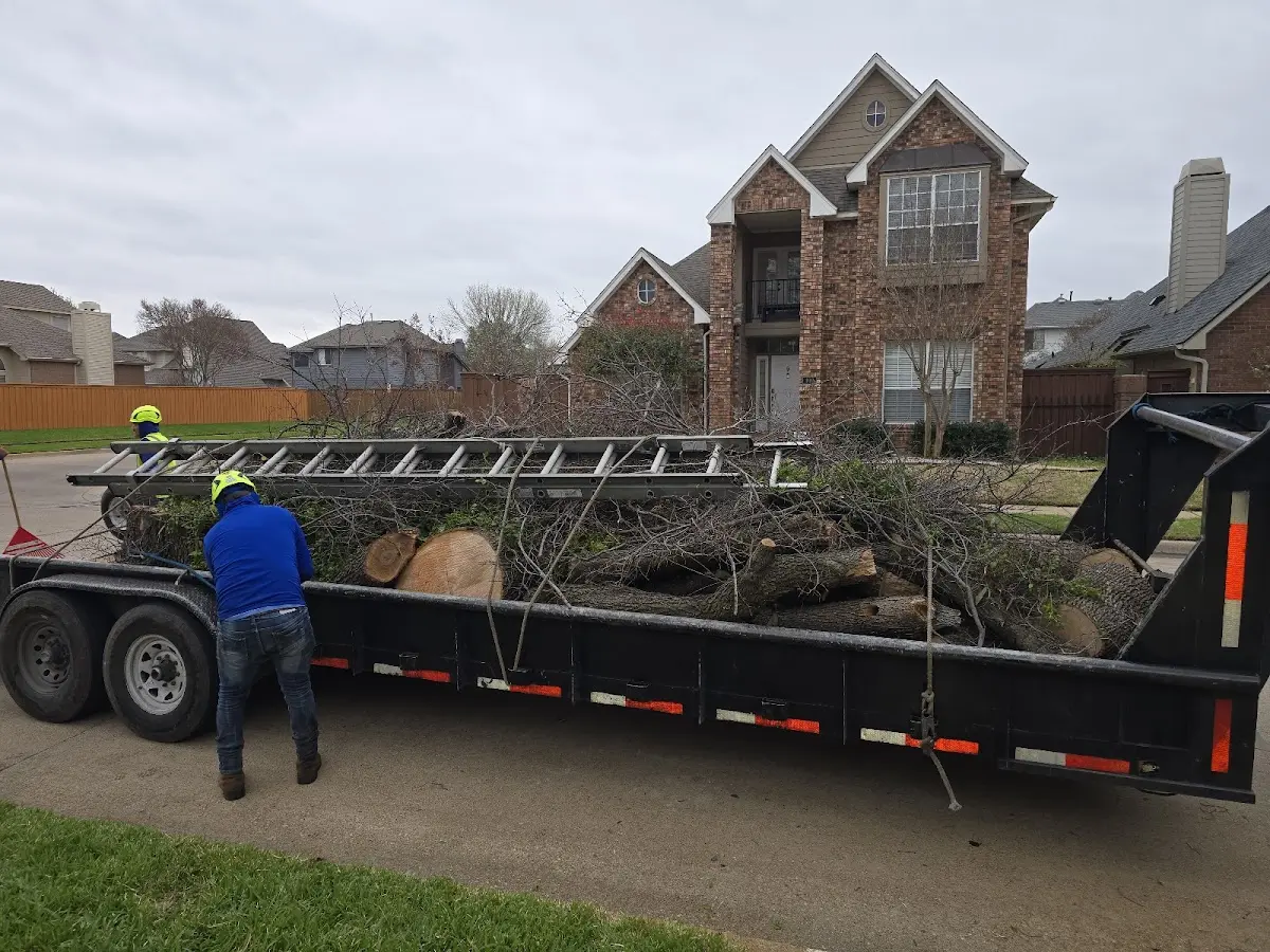 Expert Tree Fertilization with proper safety equipment in Summit